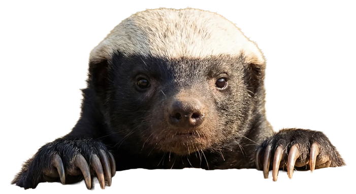 LoveBadger